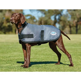 Weatherbeeta Comfitec Classic Dog Coat.