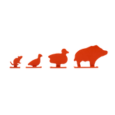 Jack Pyke Air Rifle Target Set.