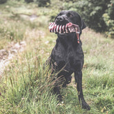 Partridge 1/2lb Dummy