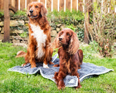 Henry Wag Noodle Mat