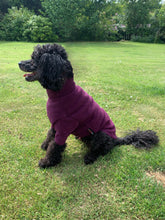 HotterDog-Dog Jumper