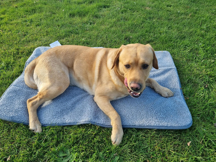 Snoozzzeee Dog Crate Mat