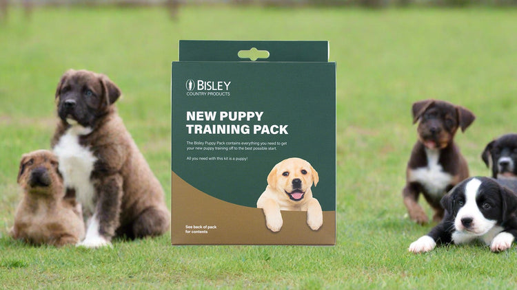 New Puppy Pack by Bisley