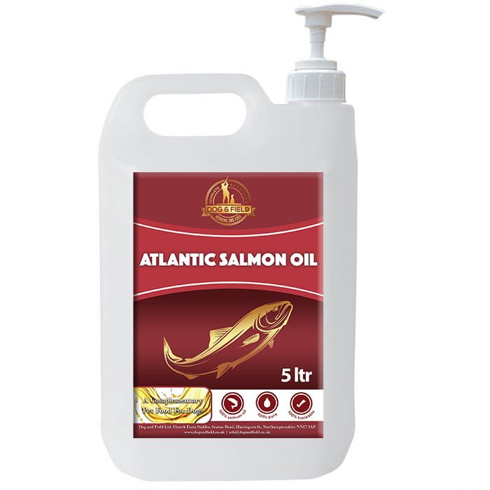 Atlantic Salmon Oil