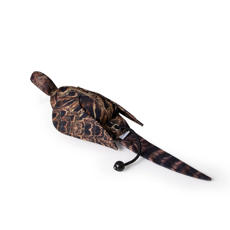 Hen Pheasant Dead Bird Dummy