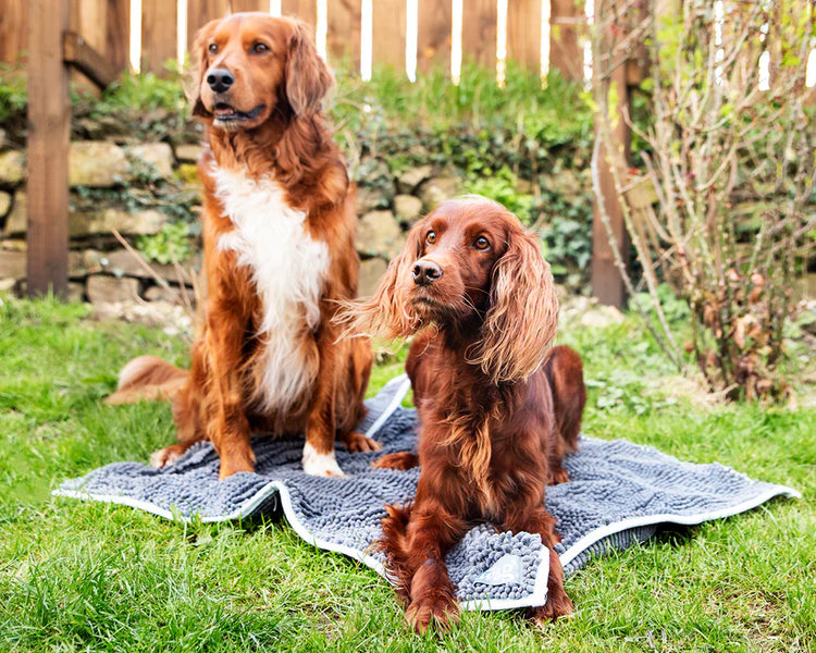 Henry Wag Noodle Mat