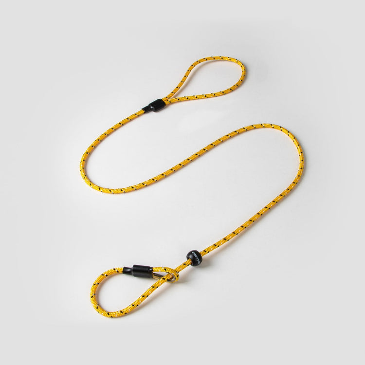 Pro Trialler Slip Lead