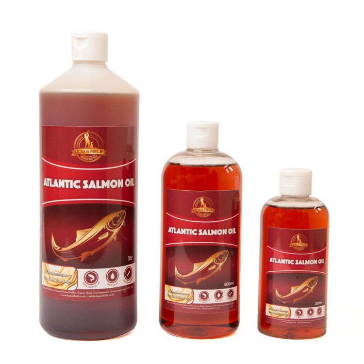 Atlantic Salmon Oil