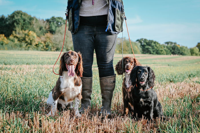 Field Trial PRO Hands Free Lead 1.2m