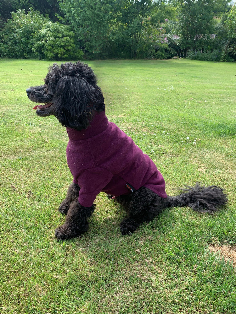 HotterDog-Dog Jumper